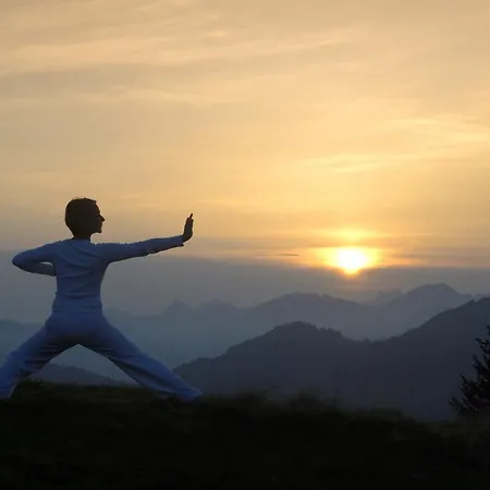 Hubertus Mountain Refugio Allgaeu Hotel Balderschwang