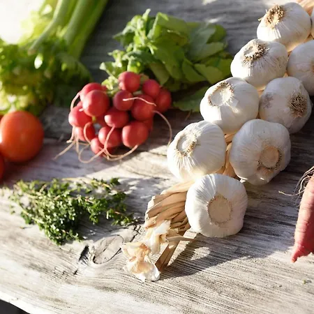 Hubertus Mountain Refugio Allgaeu Hotel Balderschwang