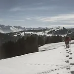 Hubertus Mountain Refugio Allgaeu Отель
