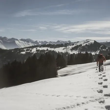 Hubertus Mountain Refugio Allgaeu 酒店