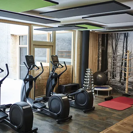 Hubertus Mountain Refugio Allgaeu 4* 巴尔德赫旺