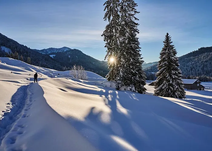 Hubertus Mountain Refugio Allgaeu Balderschwang